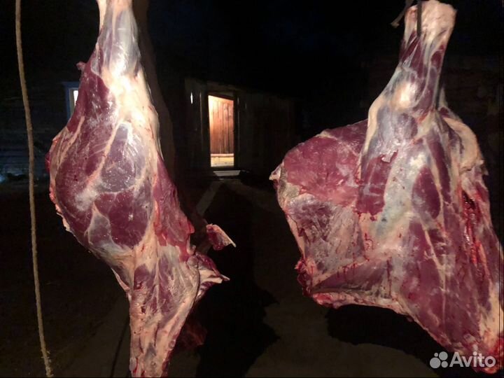 Мясо молодой телятины забой 20августа