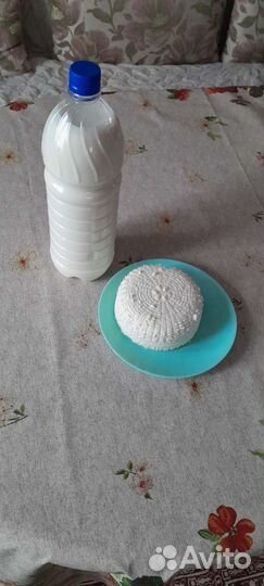 Продаю козье молоко,яйца и козий сыр