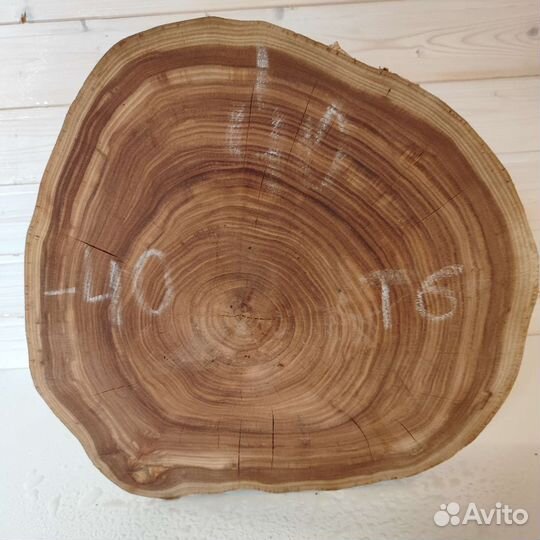 Слэб дерева и спилы