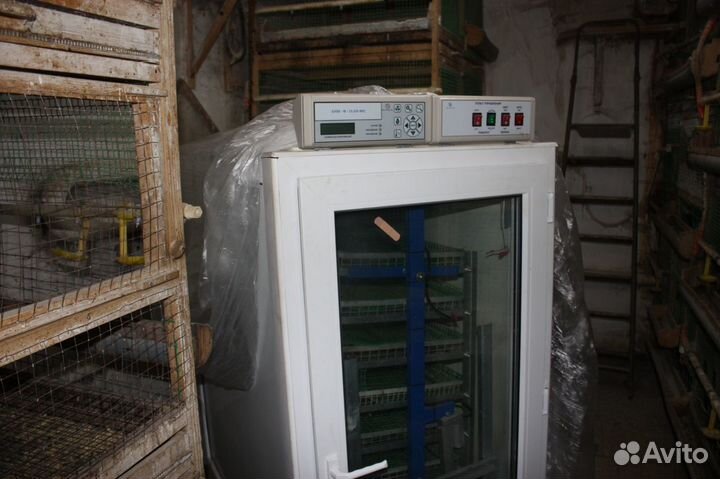 Инкубатор для яиц автоматический