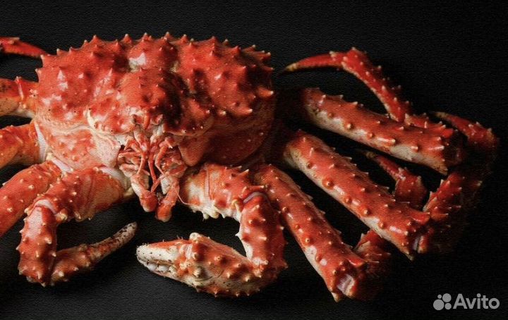 Краб камчатский