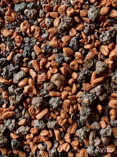 Грунт для суккулетов, хавортия, эхеверия, декор