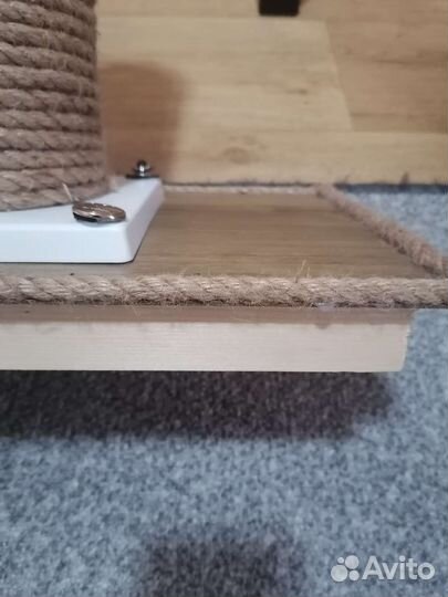 Когтеточка для кошек