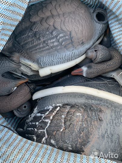 Чучела гусей