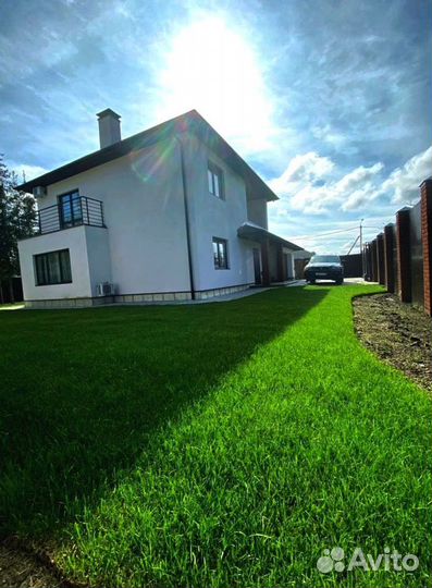 Рулонный газон