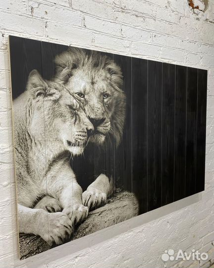 Картина на досках Львы