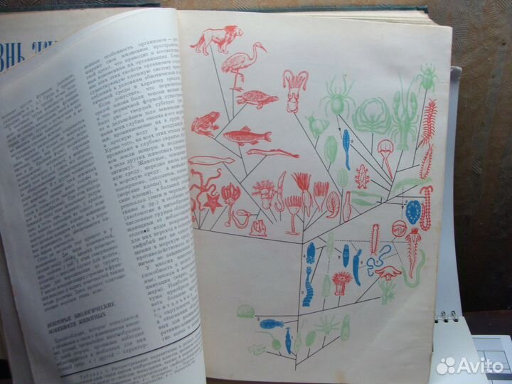 Жизнь животных в 5 томах 1968 год