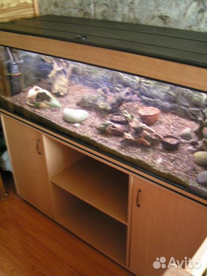 Аквариум 500 литров №1 с тумбой