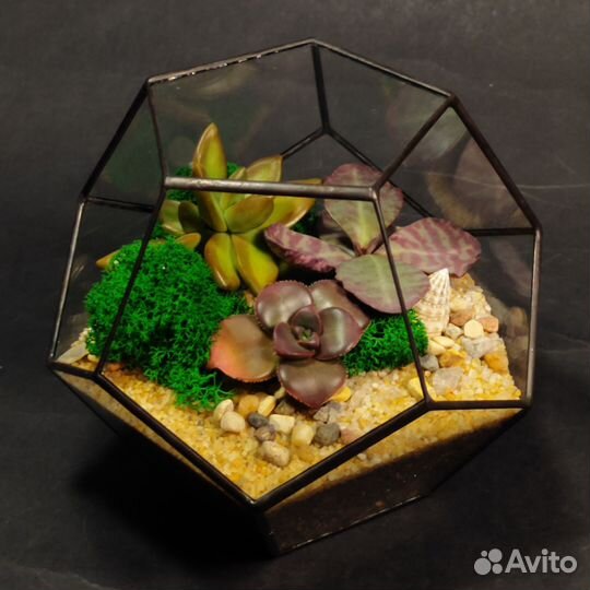 Флорариум / Мини-сад с суккулентами (в наличии)