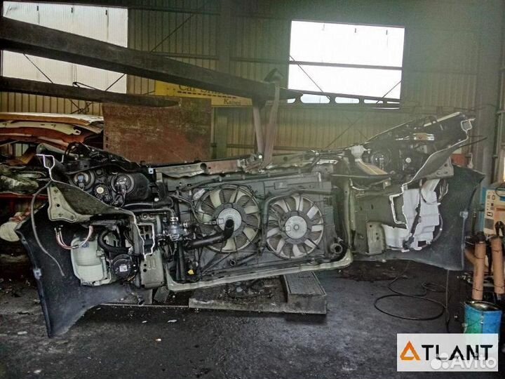 Ноускат toyota prius