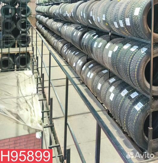 Tigar Winter 1 205/60 R16 96N