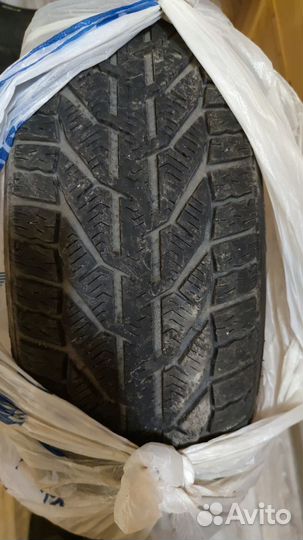 Tigar Winter 205/60 R16 96H