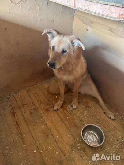 Думаешь обо мне, и я существую