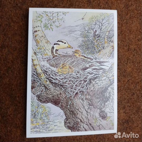 Наборы открыток СССР