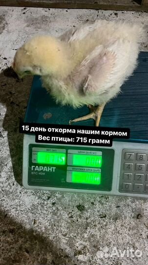 Комбикорм для бройлеров старт 40 кг