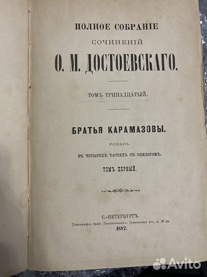 Достоевский Ф.М. 1882 год