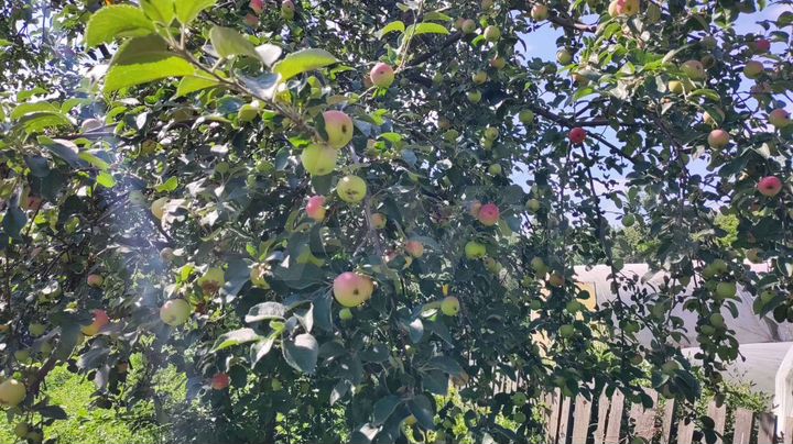 Дом 12 м² на участке 4 сот.