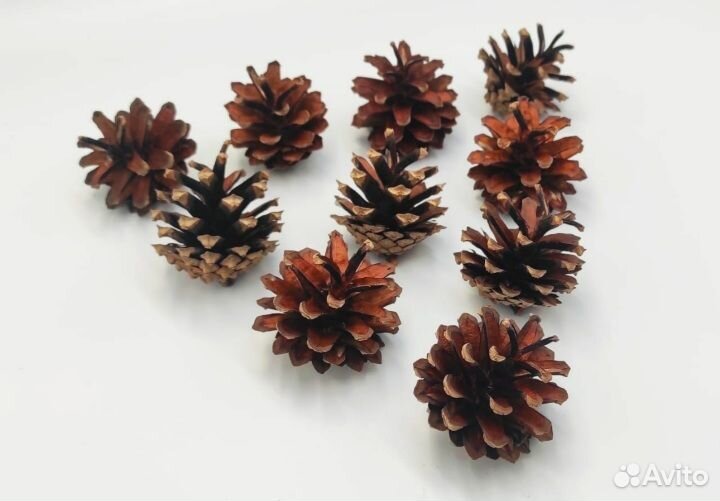 Шишки натуральные