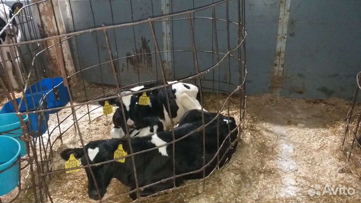 Продаем мрс