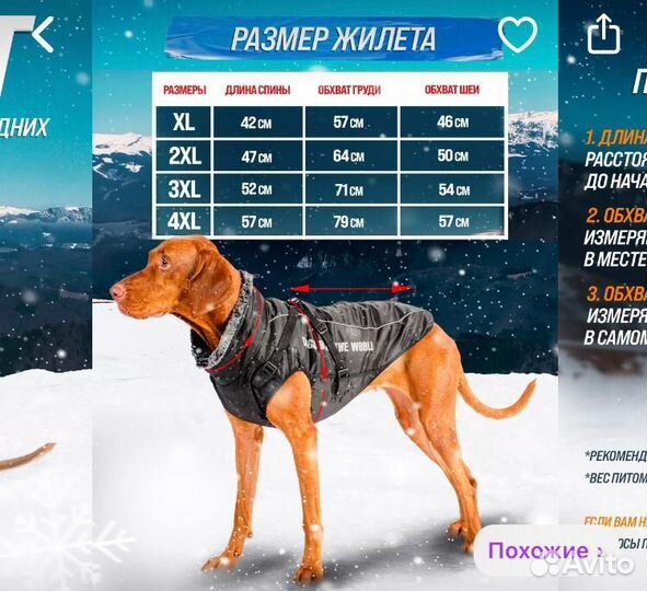 Теплый жилет для собаки