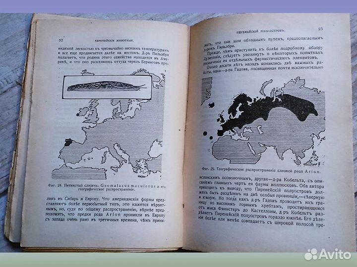 Старинная книга 1918г. Европейские животные