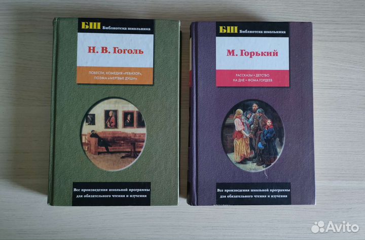 Школьная литература (Н.В. Гоголь, М. Горький)