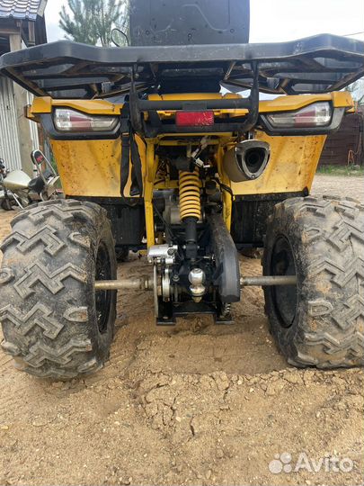 Motoland wild trak 200