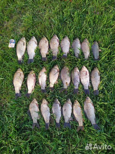 Отдых, рыбалка