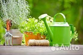 Вахта вакансия Комплектовщик работа с тсд