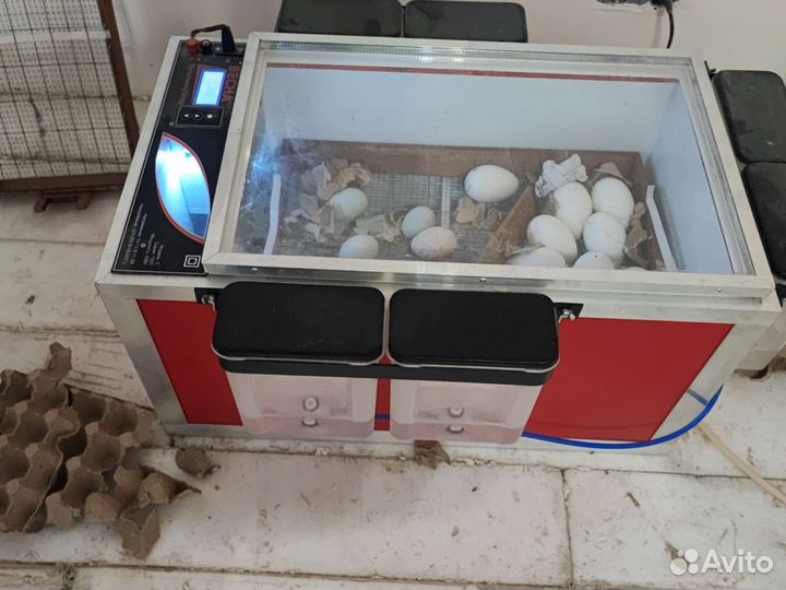 Инкубатор Весна