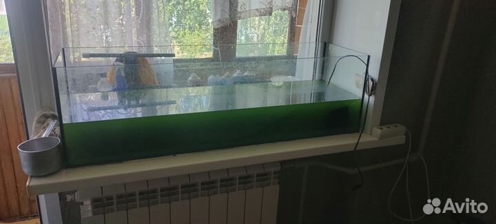 Аквариум