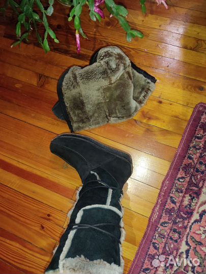 Сапоги женские натуральная замша цигейка
