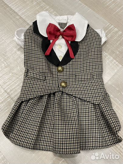 Одежда для средних собак