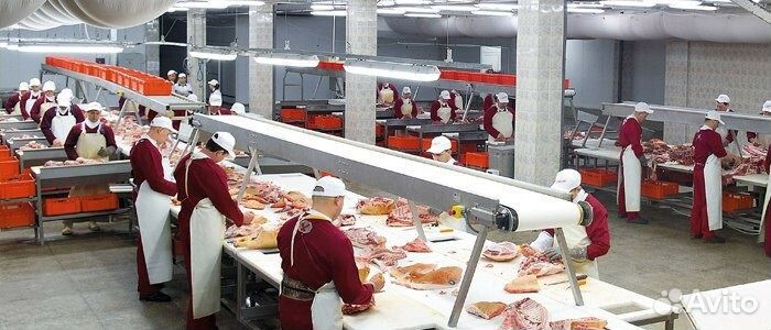 Вахта с бесплатным проживанием и питанием
