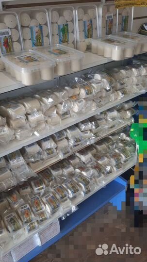 Гидропланкто Планктон Орловский