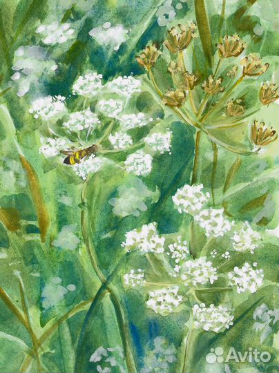 Картины цветы акварелью/гуашью