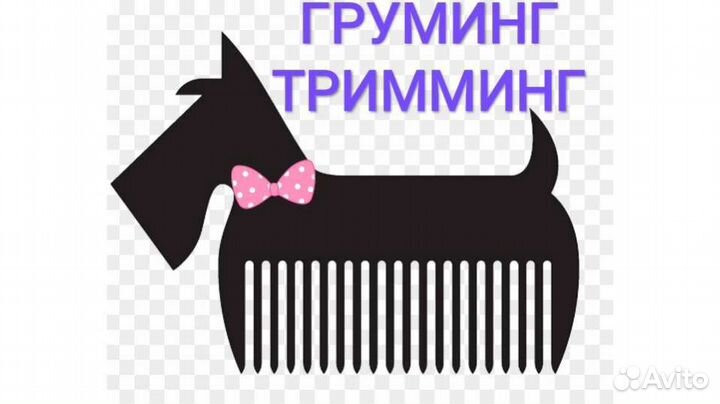 Стрижка собак. Тримминг. Экспресс-линька кошек