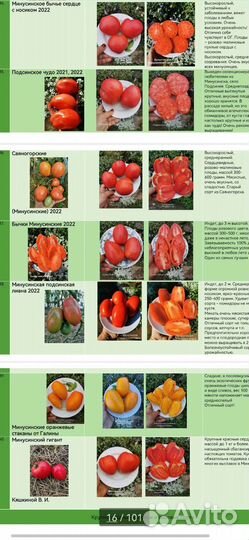 Семена сортовых томатов из частной коллекции