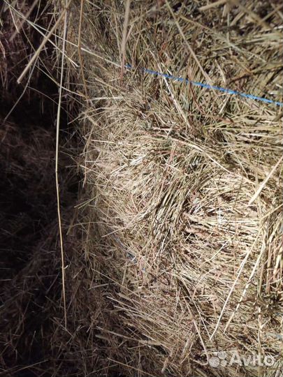 Продам сено в рулонах 450кг