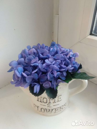 Гортензия композиция