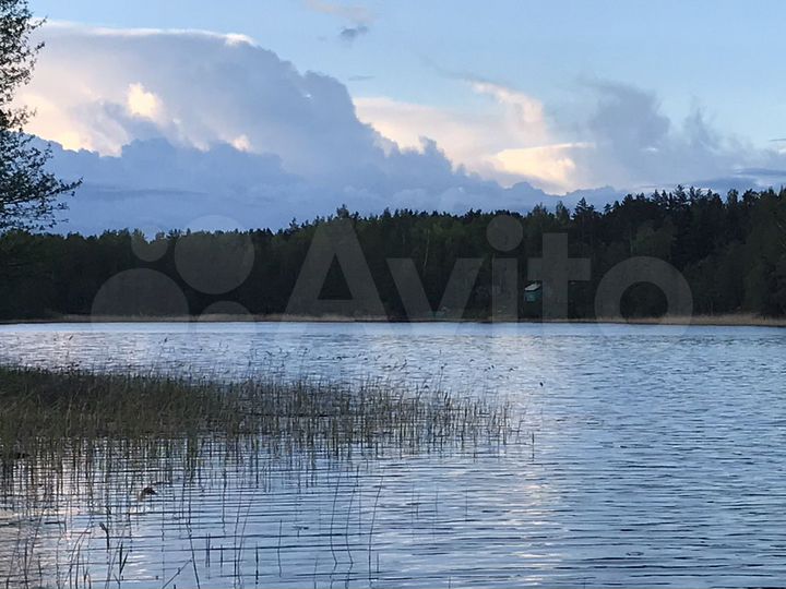 Участок 5,2 га (СНТ, ДНП)