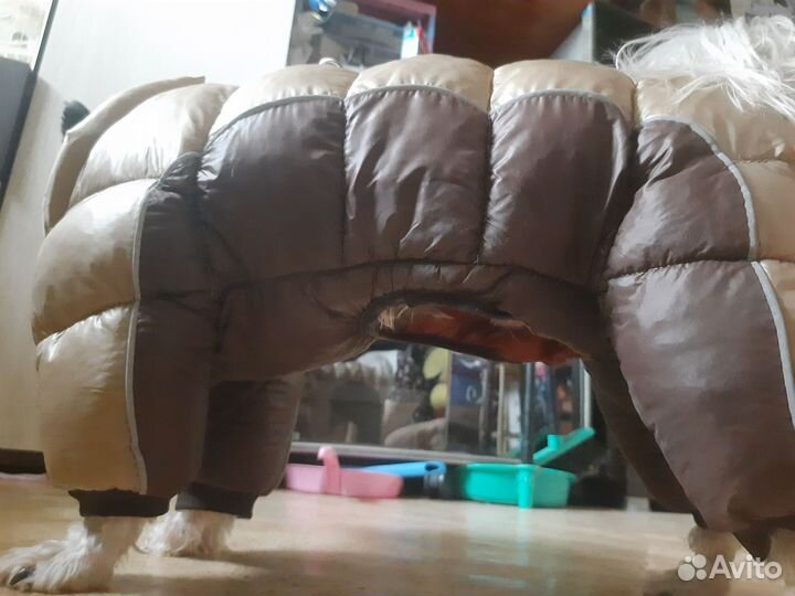 Зимний комбинезон для собаки