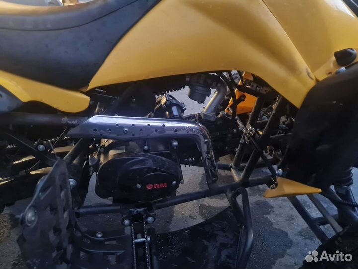Рысь 125