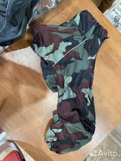 Однжда для собак