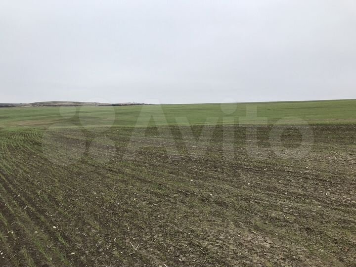 Участок 140 га (СНТ, ДНП)