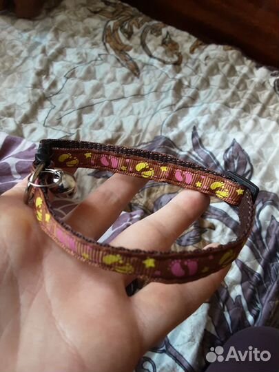 Ошейник с колокольчиком