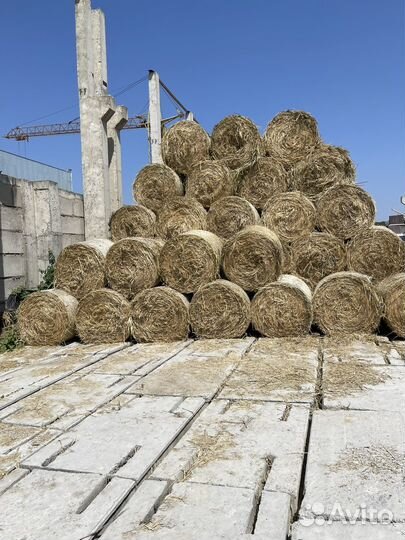 Сено луговое в тюках рулонах