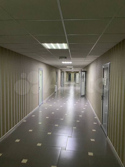 Офисы, 1000 м²