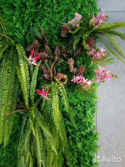 Озеленение ресторанов, кафе, жилых помещений