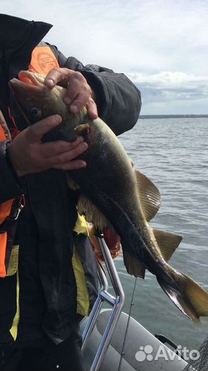 Рыбалка в Калининграде и Калининградской области
